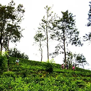Hanthana Eco Kandy